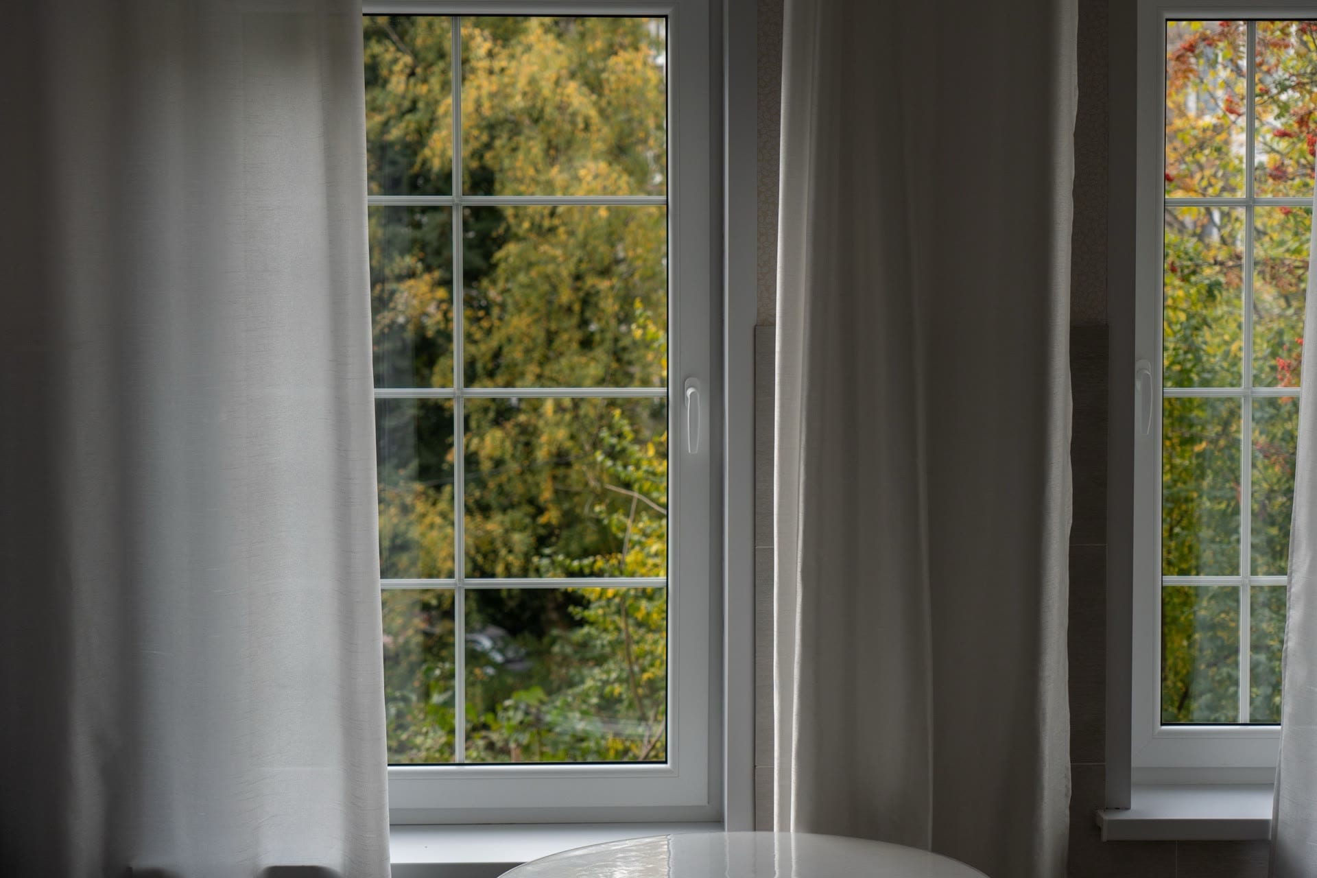 White-framed windows seen from a warm interior